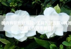 国内有哪些好用的AI工具？这五款AI神器让你工作效率翻倍！