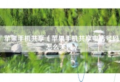 苹果手机共享（苹果手机共享电话号码怎么关闭）