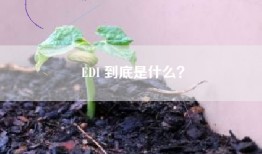 EDI 到底是什么？