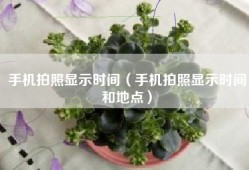 手机拍照显示时间（手机拍照显示时间和地点）