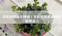 手机拍照显示时间（手机拍照显示时间和地点）