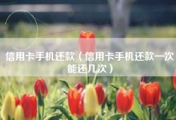 信用卡手机还款（信用卡手机还款一次能还几次）