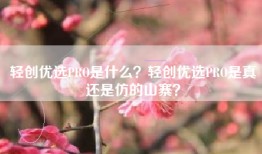 轻创优选PRO是什么？轻创优选PRO是真还是仿的山寨？