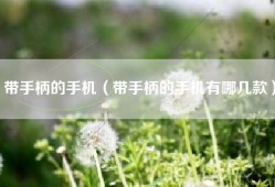带手柄的手机（带手柄的手机有哪几款）