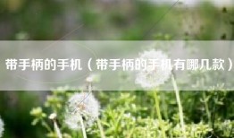 带手柄的手机（带手柄的手机有哪几款）