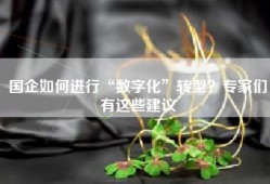 国企如何进行“数字化”转型？专家们有这些建议