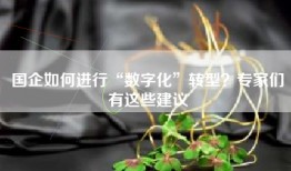 国企如何进行“数字化”转型？专家们有这些建议