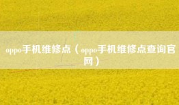 oppo手机维修点（oppo手机维修点查询官网）