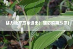 格力地产宣布退出！随后股票涨停！