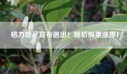 格力地产宣布退出！随后股票涨停！