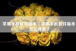 苹果手机软件版本（苹果手机软件版本怎么降低）