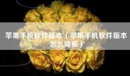 苹果手机软件版本（苹果手机软件版本怎么降低）
