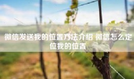 微信发送我的位置方法介绍 微信怎么定位我的位置