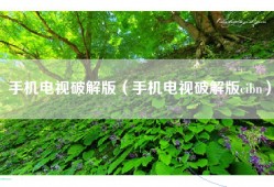 手机电视破解版（手机电视破解版cibn）