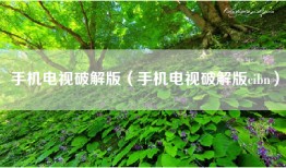手机电视破解版（手机电视破解版cibn）