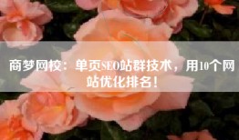 商梦网校：单页SEO站群技术，用10个网站优化排名！