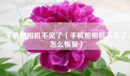 手机照相机不见了（手机照相机不见了怎么恢复）
