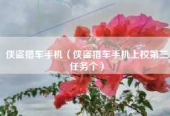 侠盗猎车手机（侠盗猎车手机上校第三任务个）