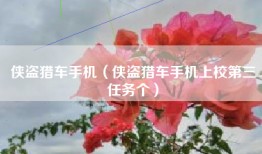侠盗猎车手机（侠盗猎车手机上校第三任务个）