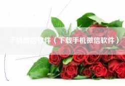 手机微信软件（下载手机微信软件）