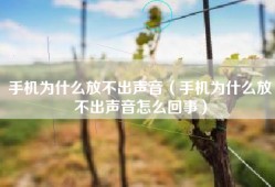 手机为什么放不出声音（手机为什么放不出声音怎么回事）