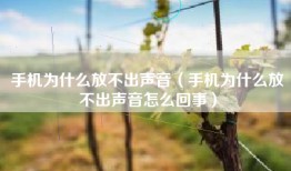 手机为什么放不出声音（手机为什么放不出声音怎么回事）