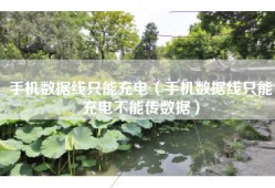 手机数据线只能充电（手机数据线只能充电不能传数据）