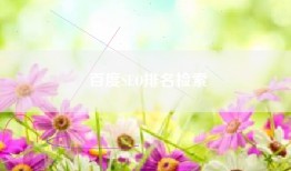 百度SEO排名检索