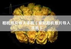 相机照片导入手机（索尼相机照片导入手机）