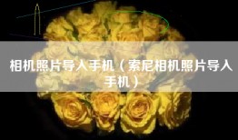 相机照片导入手机(索尼相机照片导入手机)
