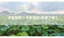 手机智控（手机智控S免费下载）