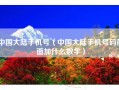 中国大陆手机号（中国大陆手机号码前面加什么数字）