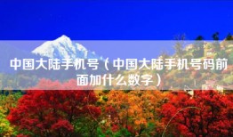 中国大陆手机号（中国大陆手机号码前面加什么数字）