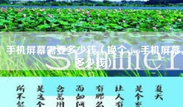 手机屏幕需要多少钱（换个vivo手机屏幕多少钱）