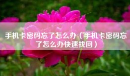 手机卡密码忘了怎么办（手机卡密码忘了怎么办快速找回）