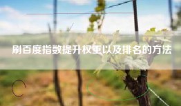 刷百度指数提升权重以及排名的方法