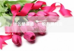 什么是渠道   一般有哪几类