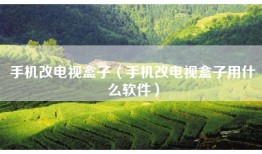 手机改电视盒子（手机改电视盒子用什么软件）