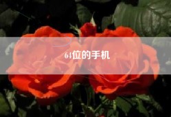 64位的手机
