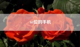64位的手机