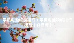 手机电池续航排行（手机电池续航排行榜前十名品牌）
