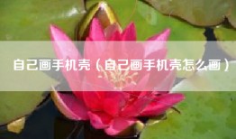 自己画手机壳（自己画手机壳怎么画）