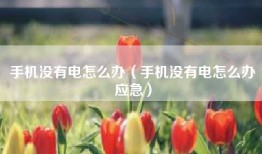 手机没有电怎么办（手机没有电怎么办应急）