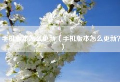手机版本怎么更新（手机版本怎么更新？）