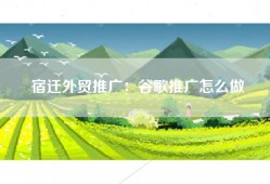 宿迁外贸推广：谷歌推广怎么做