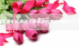苹果手机测试（苹果手机测试网速方法）