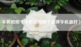 手机拍照（手机拍照哪个品牌手机最好）