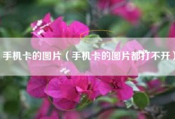 手机卡的图片（手机卡的图片都打不开）