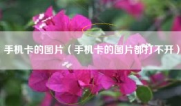 手机卡的图片(手机卡的图片都打不开)