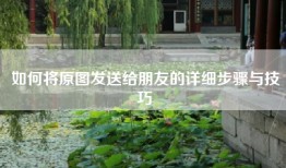 如何将原图发送给朋友的详细步骤与技巧